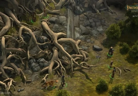 Pathfinder: Kingmaker Explorer Edition EN/DE/FR/RU/ZH Global