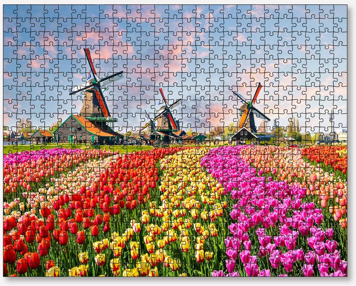 Puzzle 500 copa, Evila Originals, shumëngjyrësh, PZL_0167_500
