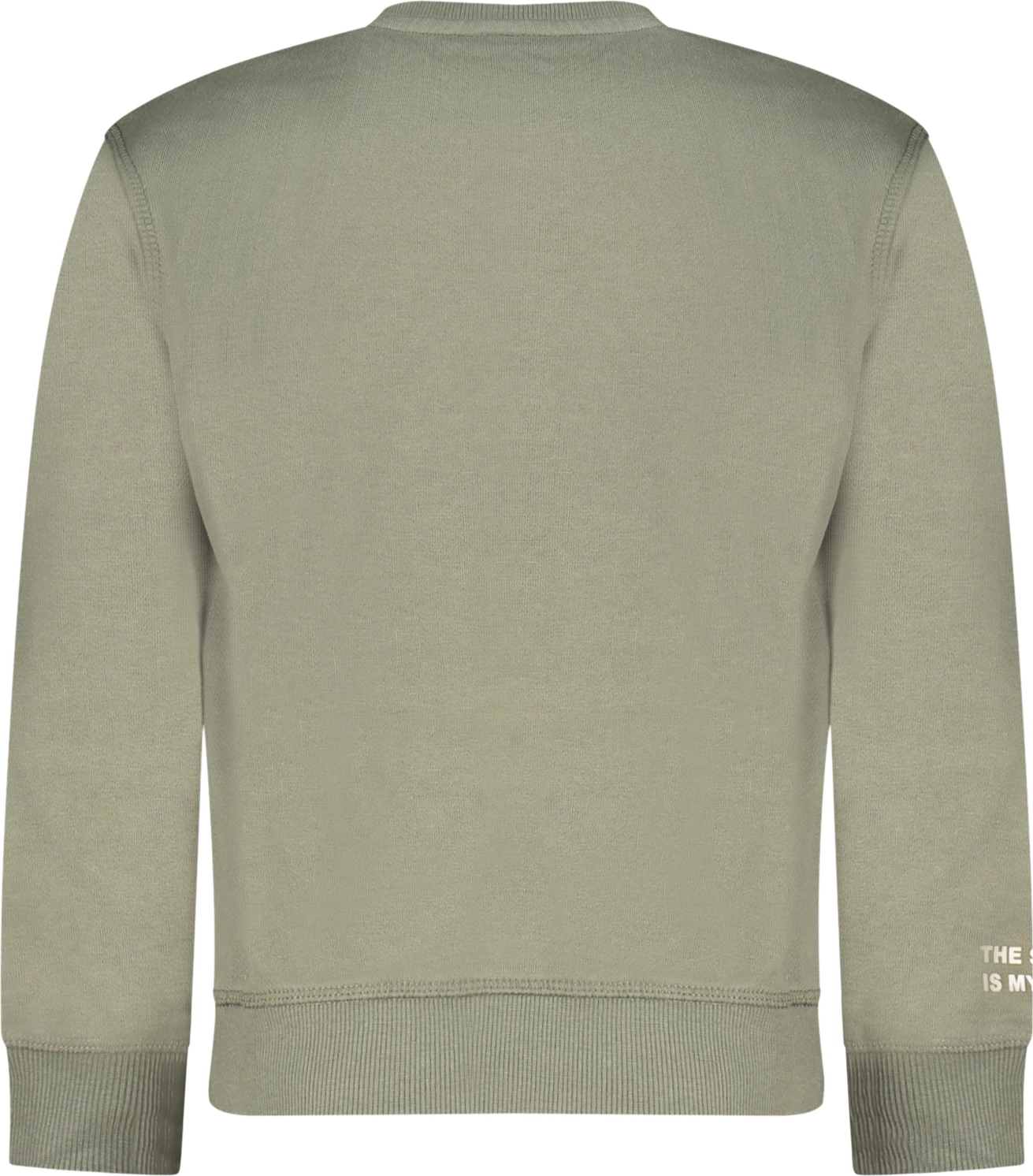 Duks për djem NORTH SAILS, gjelbër