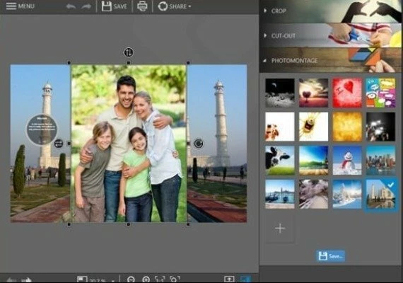 InPixio Photo Clip 8 Professional for Win EN Global