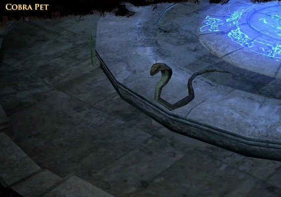 Path of Exile - Arctic Crown + Cobra Pet Bundle DLC EN/DE/FR/PT/RU/ES/TH Global