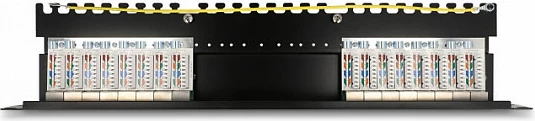 Patch panel DeLOCK 19" 16-port Cat6a 1U, i zi