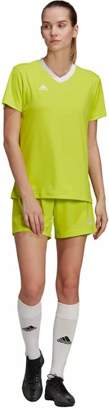 Maicë për Femra adidas Entrada 22 Jsy, ngjyrë jeshile HC5080 [Madhësia: XS]