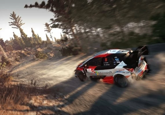 WRC 8: FIA World Rally Championship Global