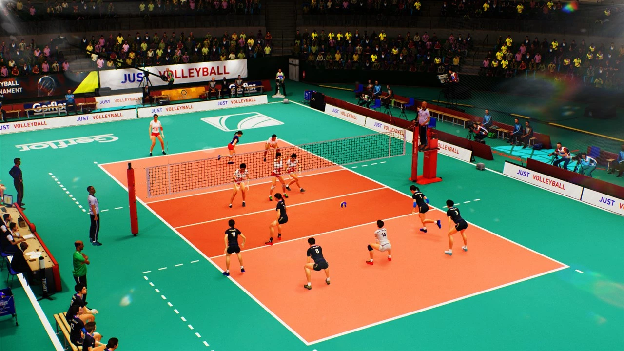 Video-lojë për PC Bigben Interactive Spike Volleyball, Steam, PEGI 3