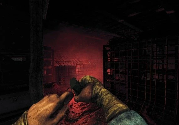 Amnesia: The Bunker EN/DE/FR/IT/PT/RU/ZH/ES Global