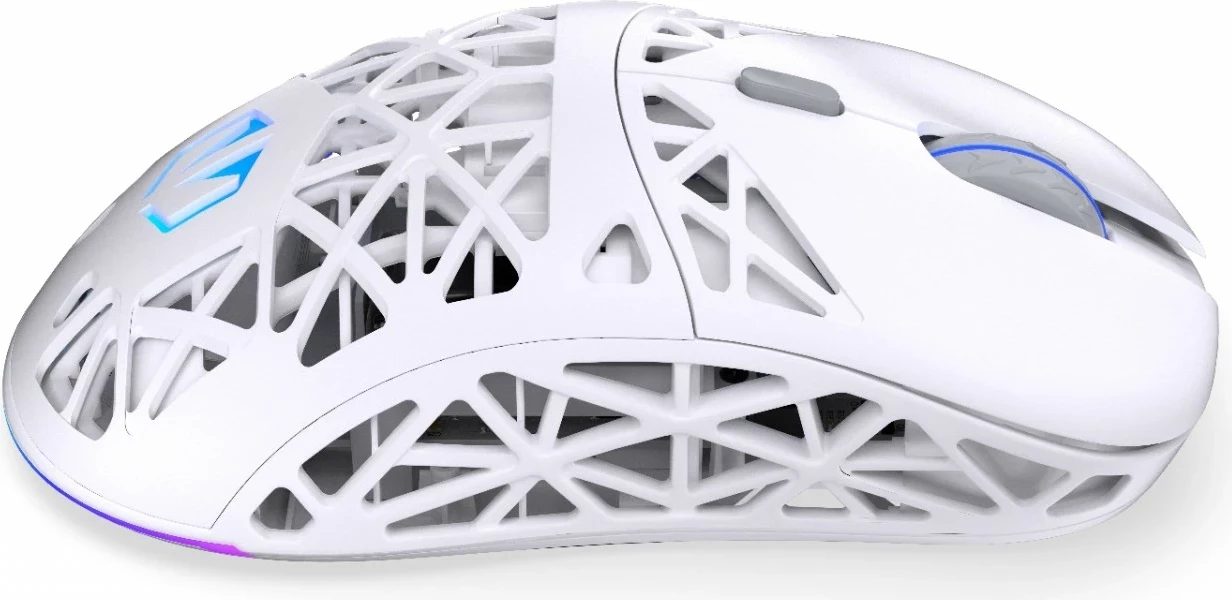 Maus wireless Endorfy LIV Plus Onyx, RGB, i bardhë