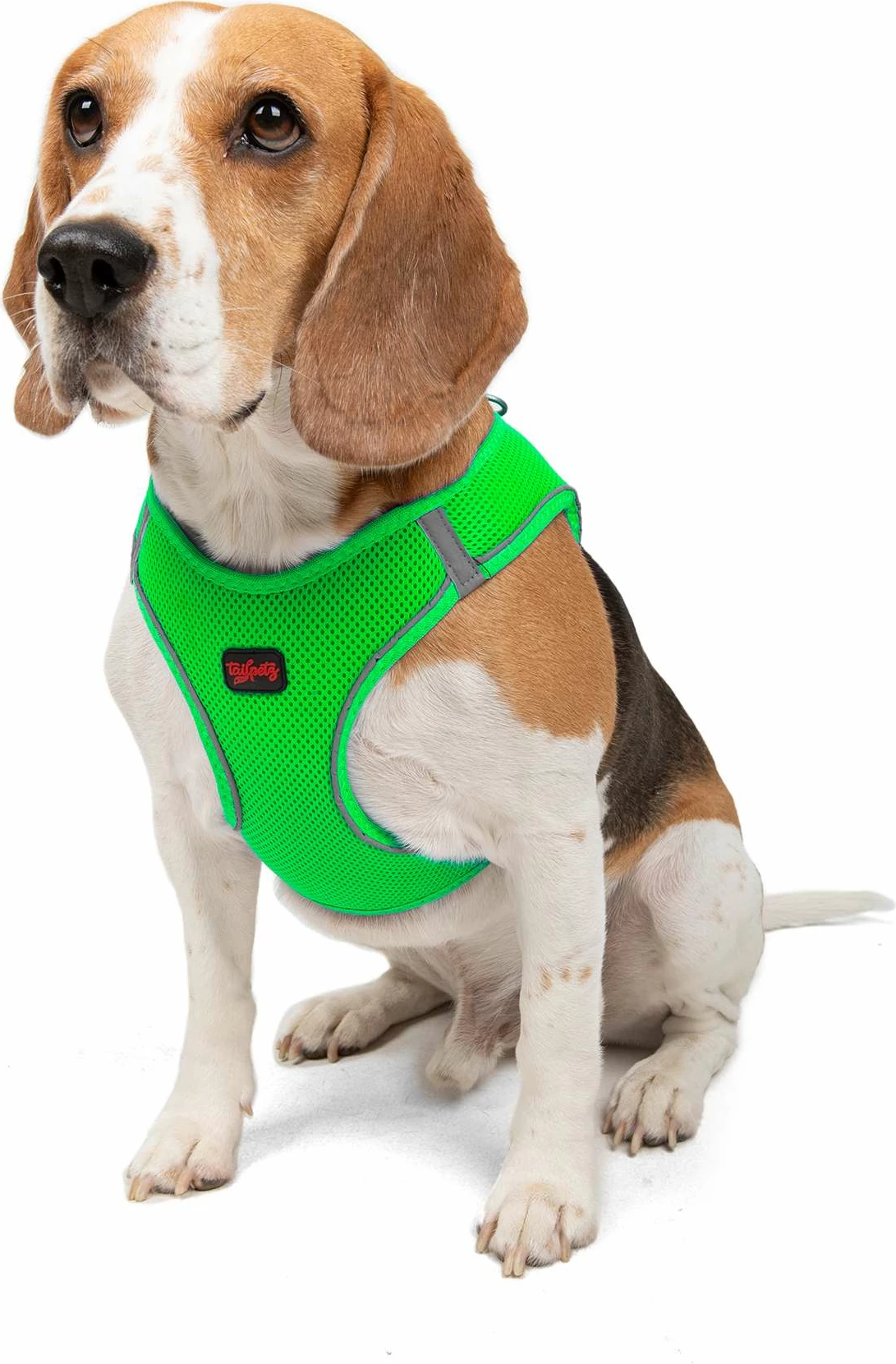 Parzmore për qen, ngjyrë Neo Green, Paws & Whiskers, Air-Mesh, S