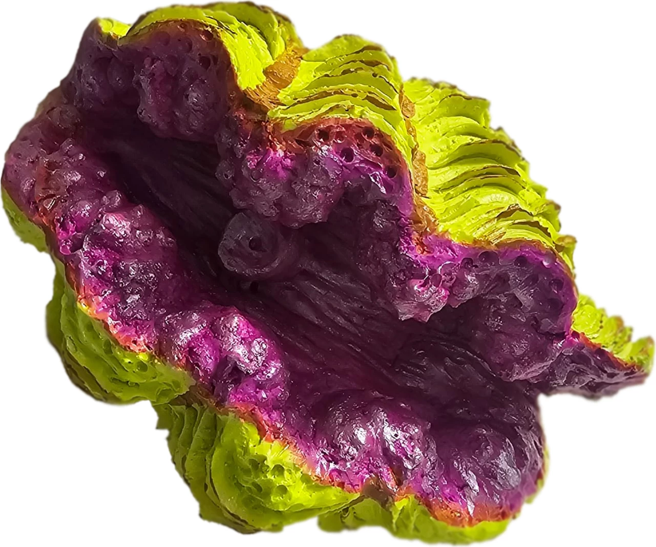 Dekor akuariumi – Gocë deti