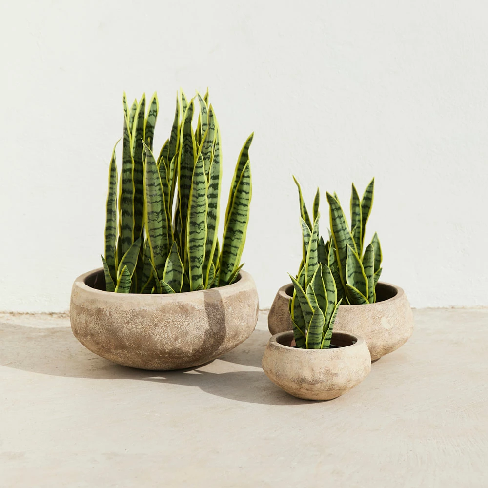 Set vazo PORTER, 3 copë, terrakotë, bezhë, 40x40x19cm