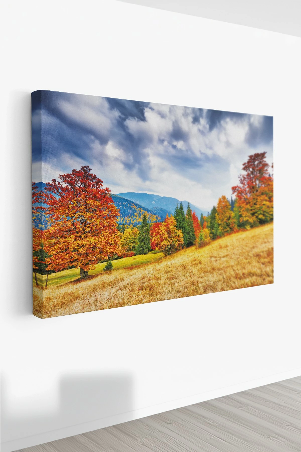 Pikturë dekorative në kanavacë, shumëngjyrëshe, Wallity, Ersyfdc45, 50x70cm