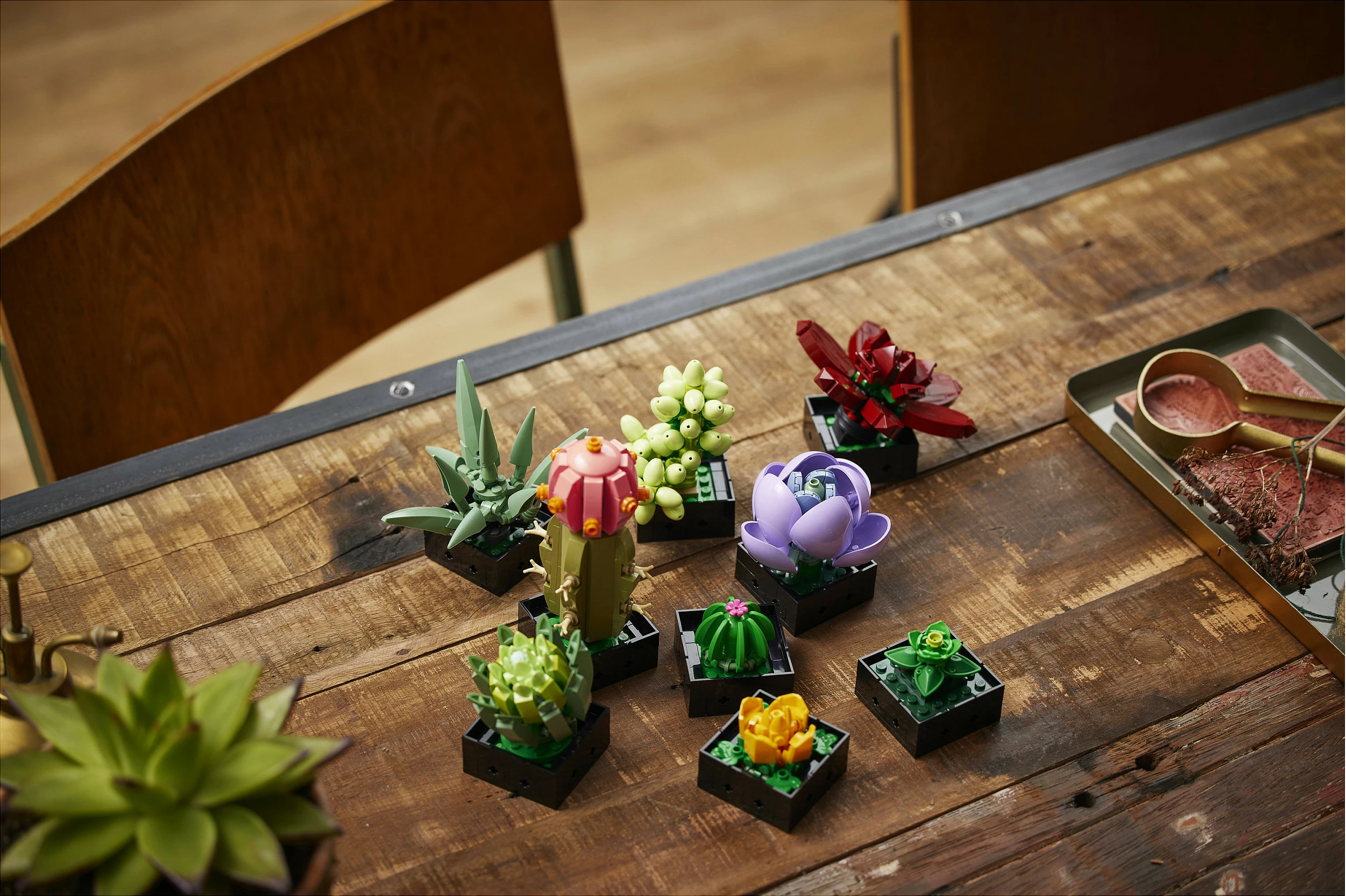 Set ndërtimi LEGO Botanicals Succulents 10309, 771 copë, 18+, multikolor