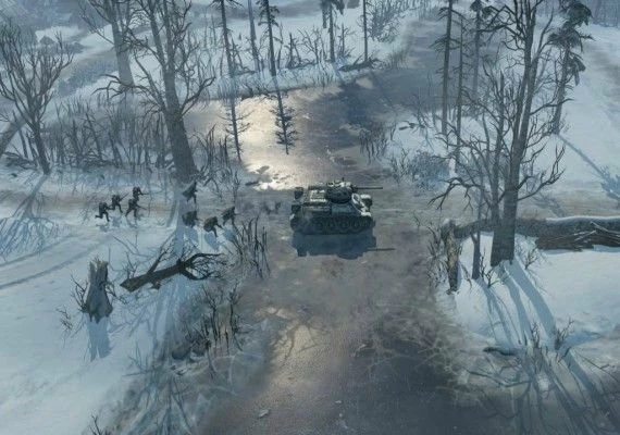 Company of Heroes 2 Platinum Edition EN Global