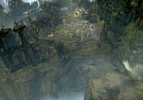Warhammer 40,000: Dawn of War II - Retribution - Tyranid Race Pack DLC EN Global