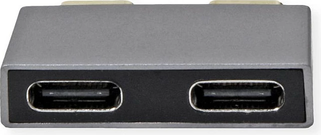 Adapter USB-C ROLINE 12.03.2945, 2x USB-C mashkull në 2x USB-C femër, 10 Gbit/s, argjendtë
