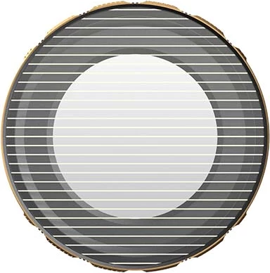 Filtër GoldMorphic PolarPro LiteChaser Pro për iPhone 13 / iPhone 14