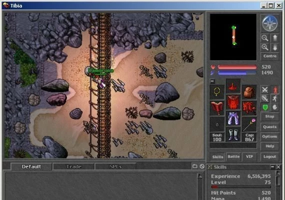 Tibia PACC Premium 360 Days Code  Global
