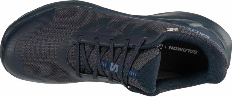 Atlete për meshkuj Salomon, të kaltra