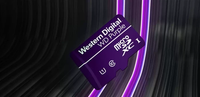 Kartë memorie microSDXC SanDisk WD Purple QD101 256GB Class 10 UHS-I (U1) Ultra Endurance, vjollcë