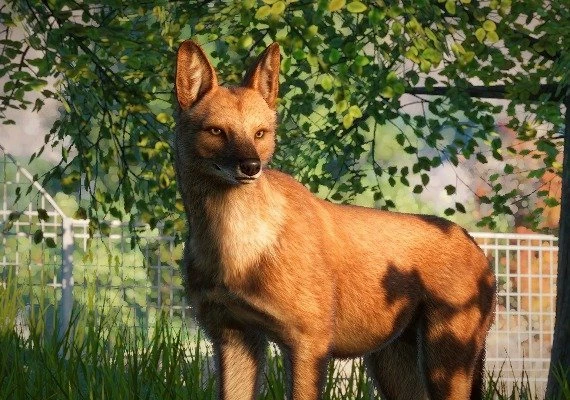 Planet Zoo - Southeast Asia Animal Pack DLC Global
