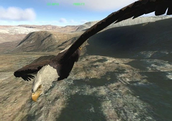 Aquila Bird Flight Simulator EN Global