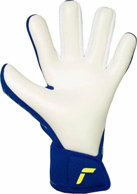 Doreza portieri për fëmijë Reusch Fastgrip Advance Junior 5672200 4994, blu