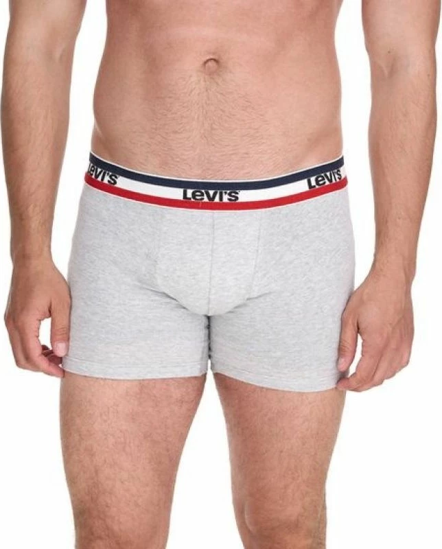 Të brendshme për meshkuj Levi's, multikolor