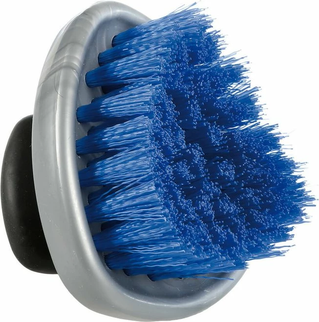 Brushe Pastruese Fellne &amp; Gome