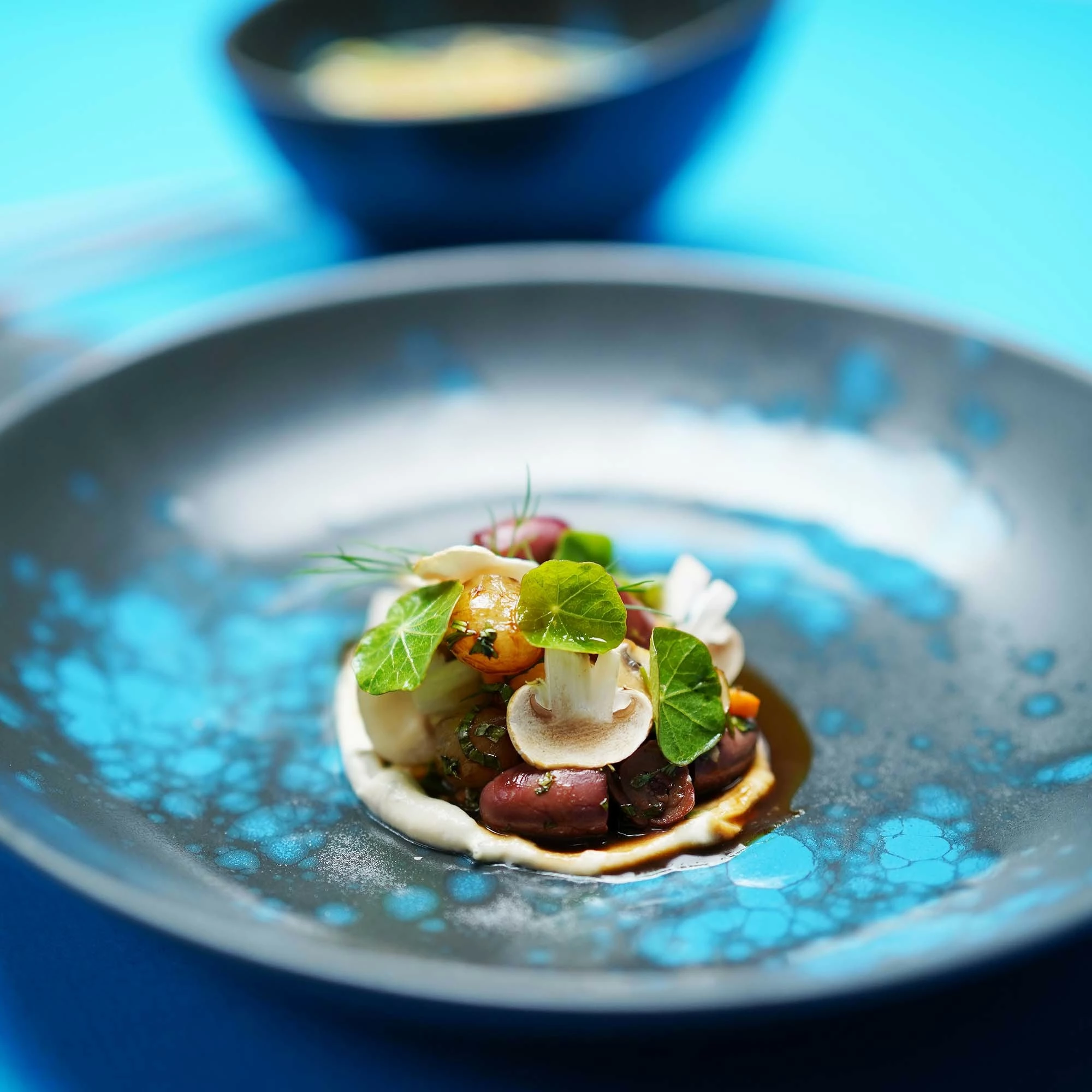 Pjatë për pasta Fine Dine Flora 270 mm 450 ml, blu, set 6 copë