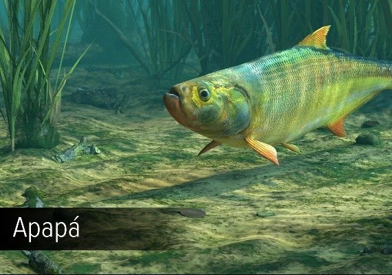 Ultimate Fishing Simulator - Amazon River DLC Global