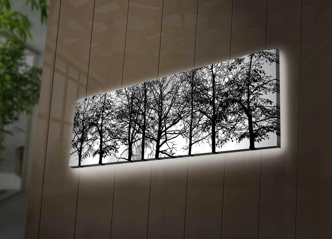 Pikturë dekorative me drita LED, Wallity, 3090DACT-72