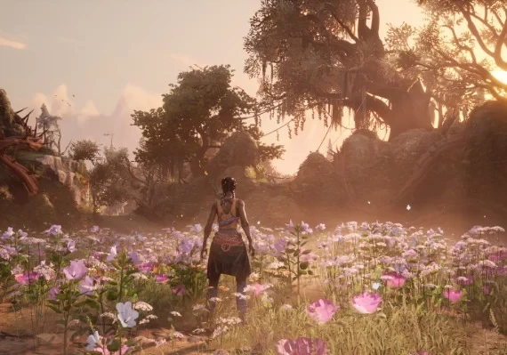 South of Midnight Premium Edition EN Global