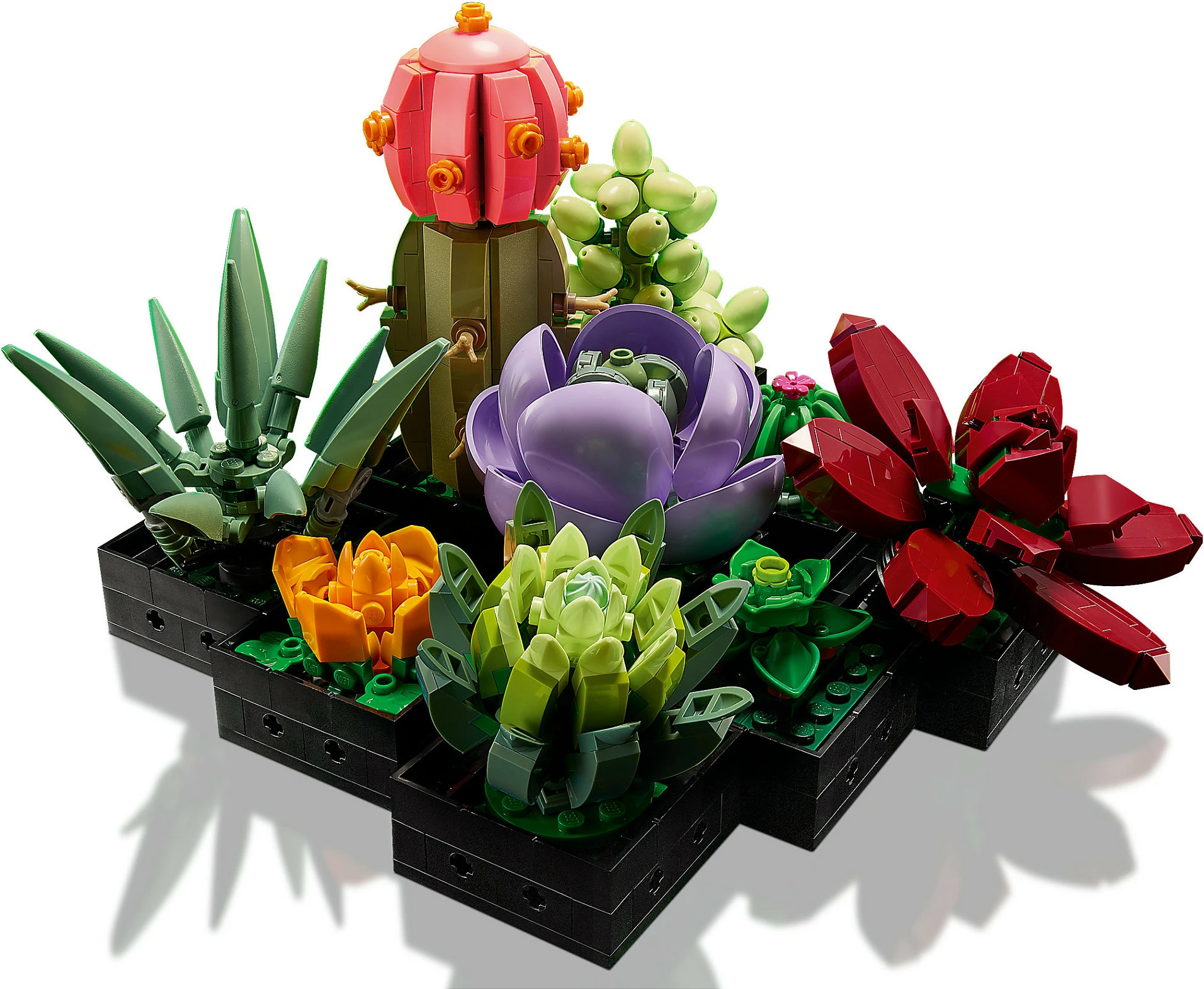 Set ndërtimi LEGO Botanicals Succulents 10309, 771 copë, 18+, multikolor