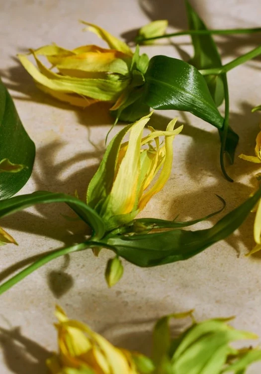 Full Ylang Ylang Eau de Parfum 75 ML