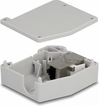 Adapter DIN-rail DeLOCK Keystone RJ45 në RJ45, Cat6A, flat, gri