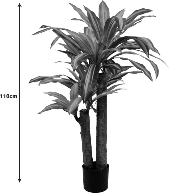 Bimë dekorative Dracaena në vazo, ngjyrë e gjelbër, 110cm