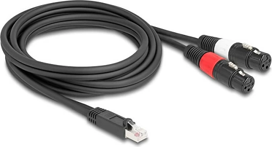 Kablë adapter DeLOCK 88176, RJ-45 në 2x XLR 3-pin, 2 m, e zezë
