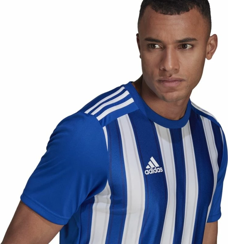 Fanellë futbolli për meshkuj adidas Striped 21 JSY M, e bardhë dhe blu [Madhësia: XS]