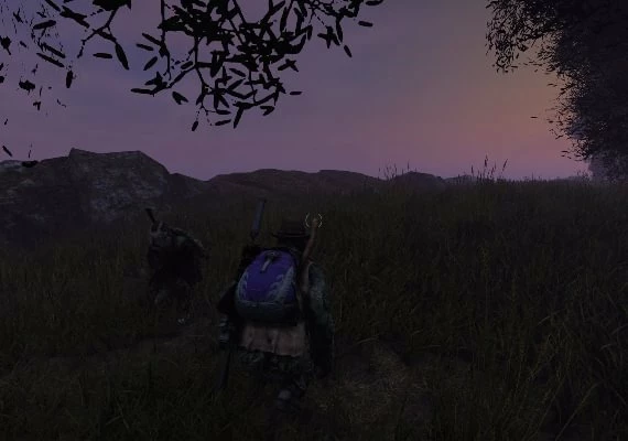 DayZ Deluxe Edition EN Global