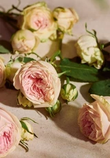 Full Rose Eau de Parfum 75 ML