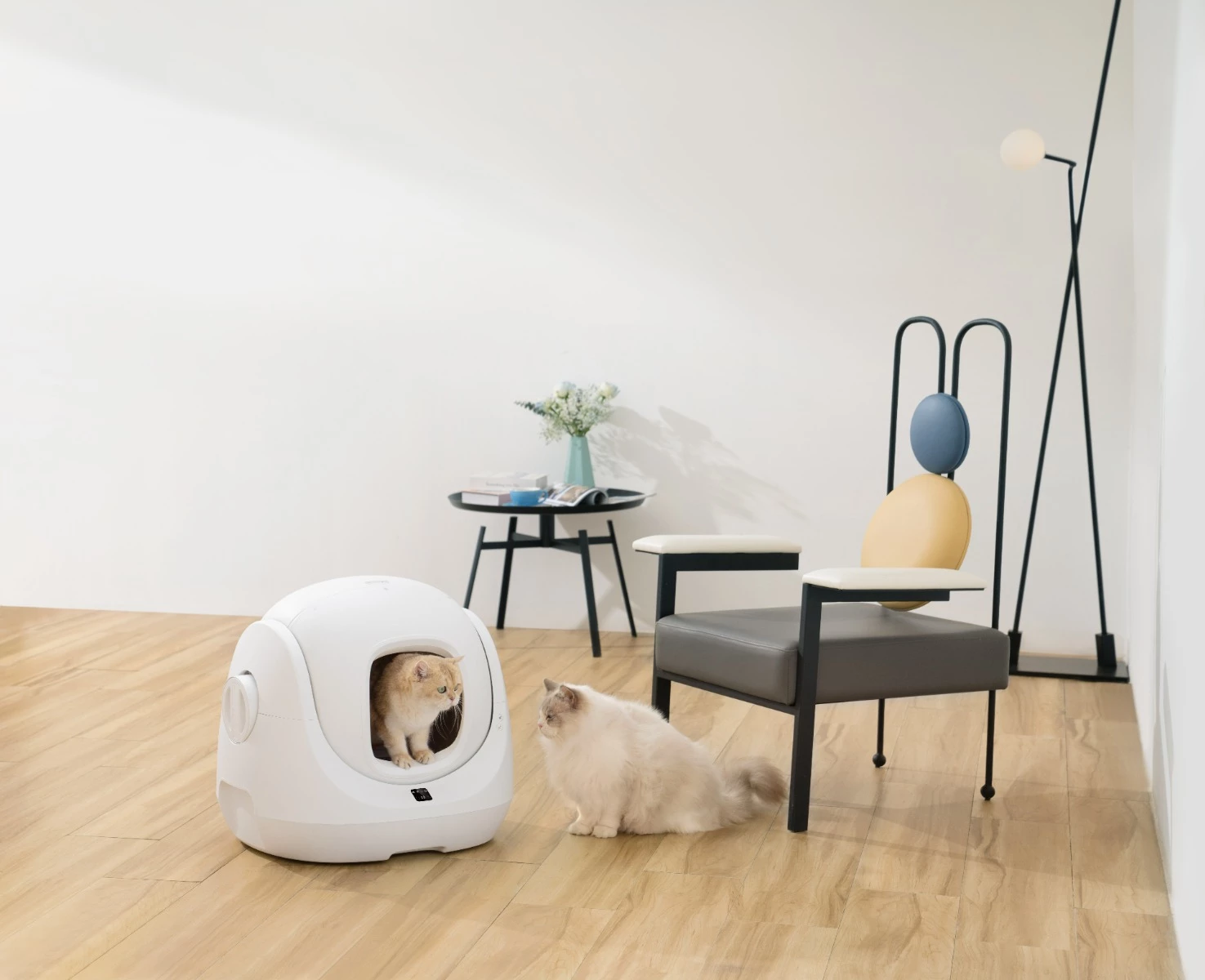 Kuti inteligjente vetëpastruese për rërë mace Catlink Baymax, WiFi, 7 L, e bardhë