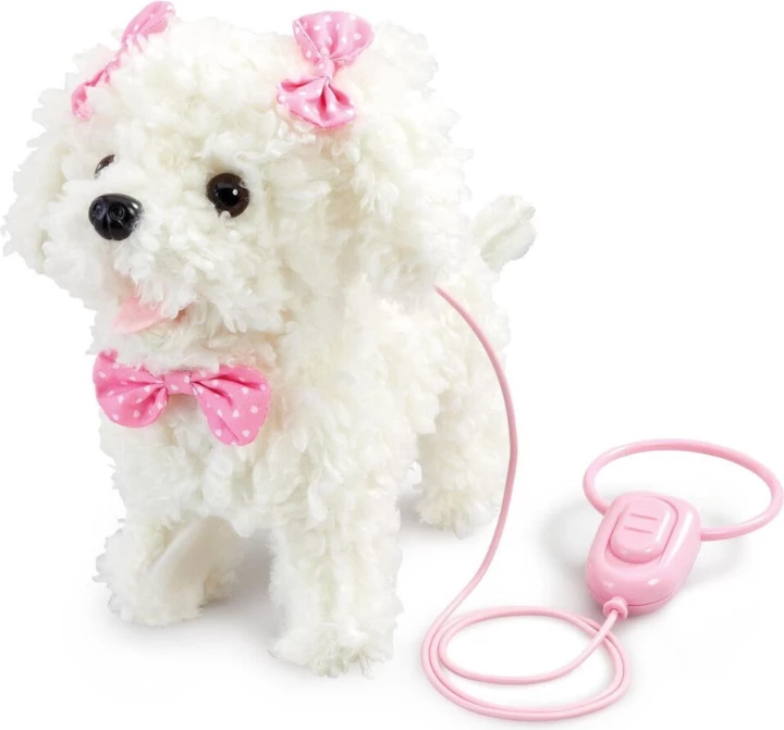 PPP WALK ALONG POODLE