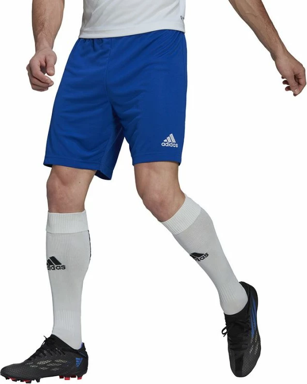 Shorce për meshkuj adidas Entrada 22, blu [Madhësia: XXL]