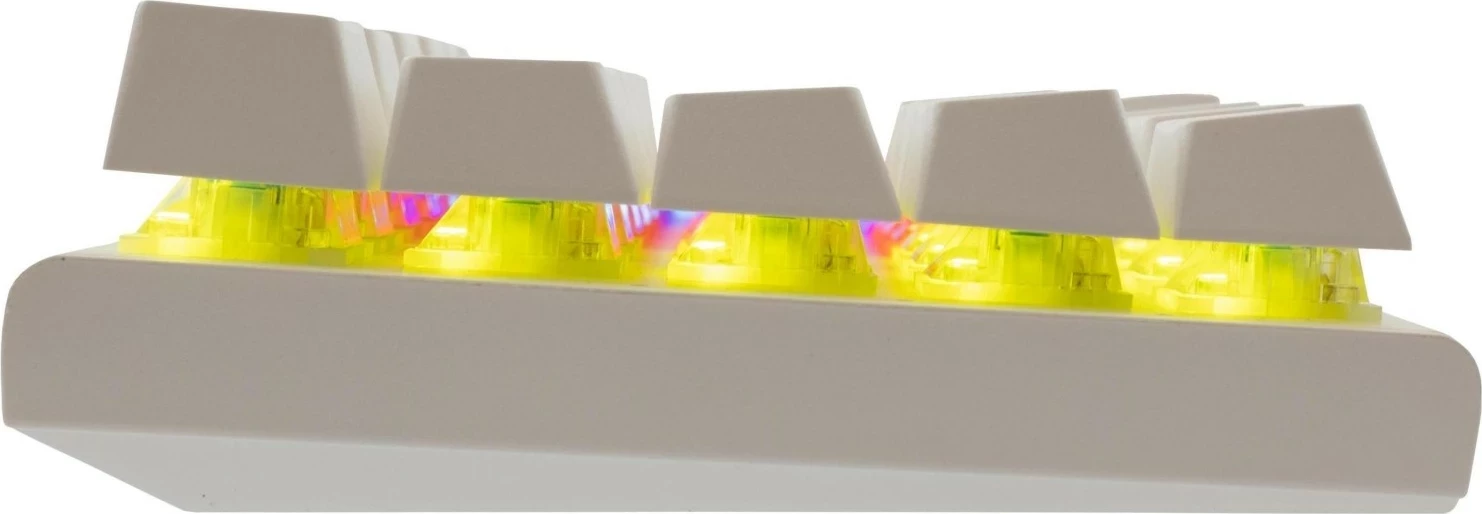 Tastierë mekanike White Shark Wakizashi GK-002221, 65%, RGB, red switch, e bardhë