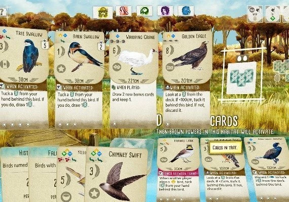 Wingspan Global