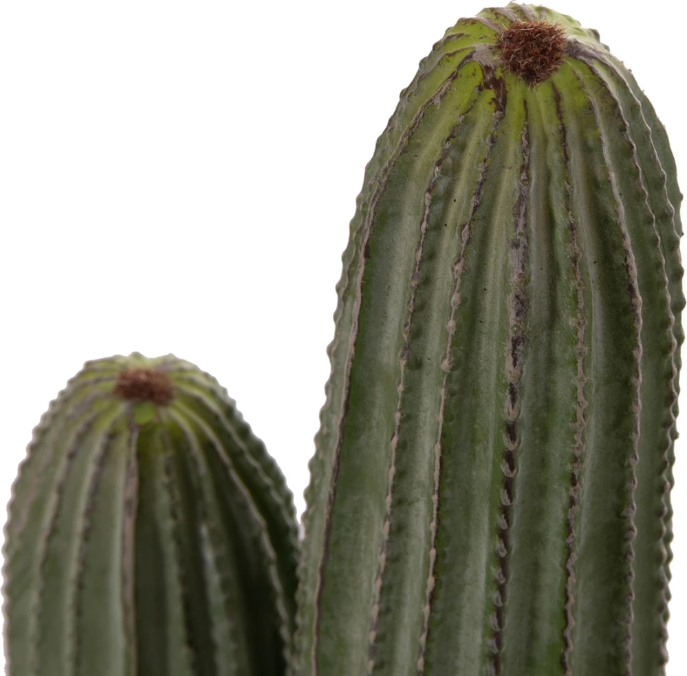 Bimë dekorative sintetike në vazo, lloj kaktusi, FH4744, 17.5x105cm