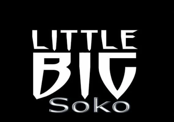 LittleBigSoko EN Global