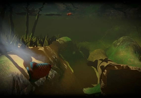 Feed and Grow: Fish EN Global