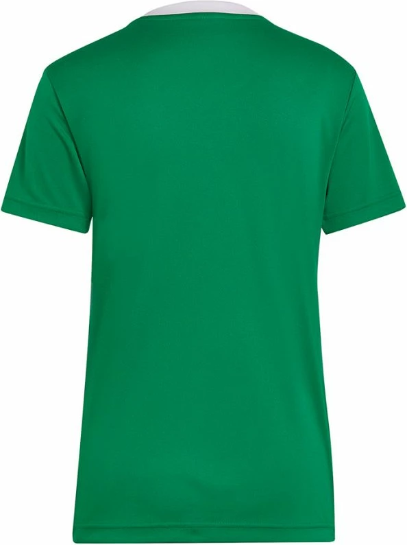 Maicë adidas për femra, e gjelbër