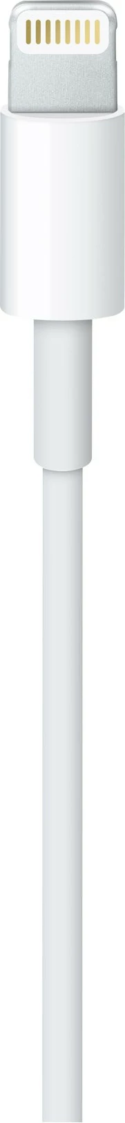 Apple Lightning cable - Lightning / USB - 50 cm